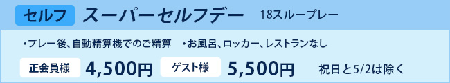 スーパーセルフデー